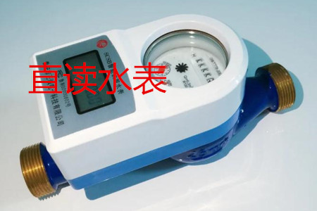 甯波(bō)生産直讀(dú)水表的廠(chǎng)家有哪些(xiē)?