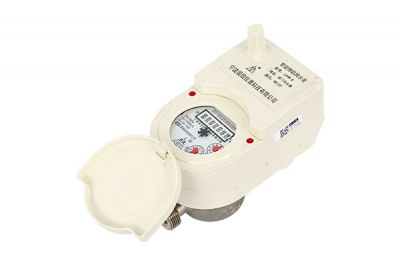 普洱(er)NB-IoT直飲水水(shui)表