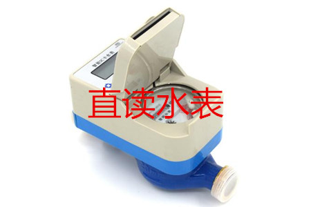 甯波生(sheng)産直讀水(shuǐ)表的廠家(jia)有哪些?